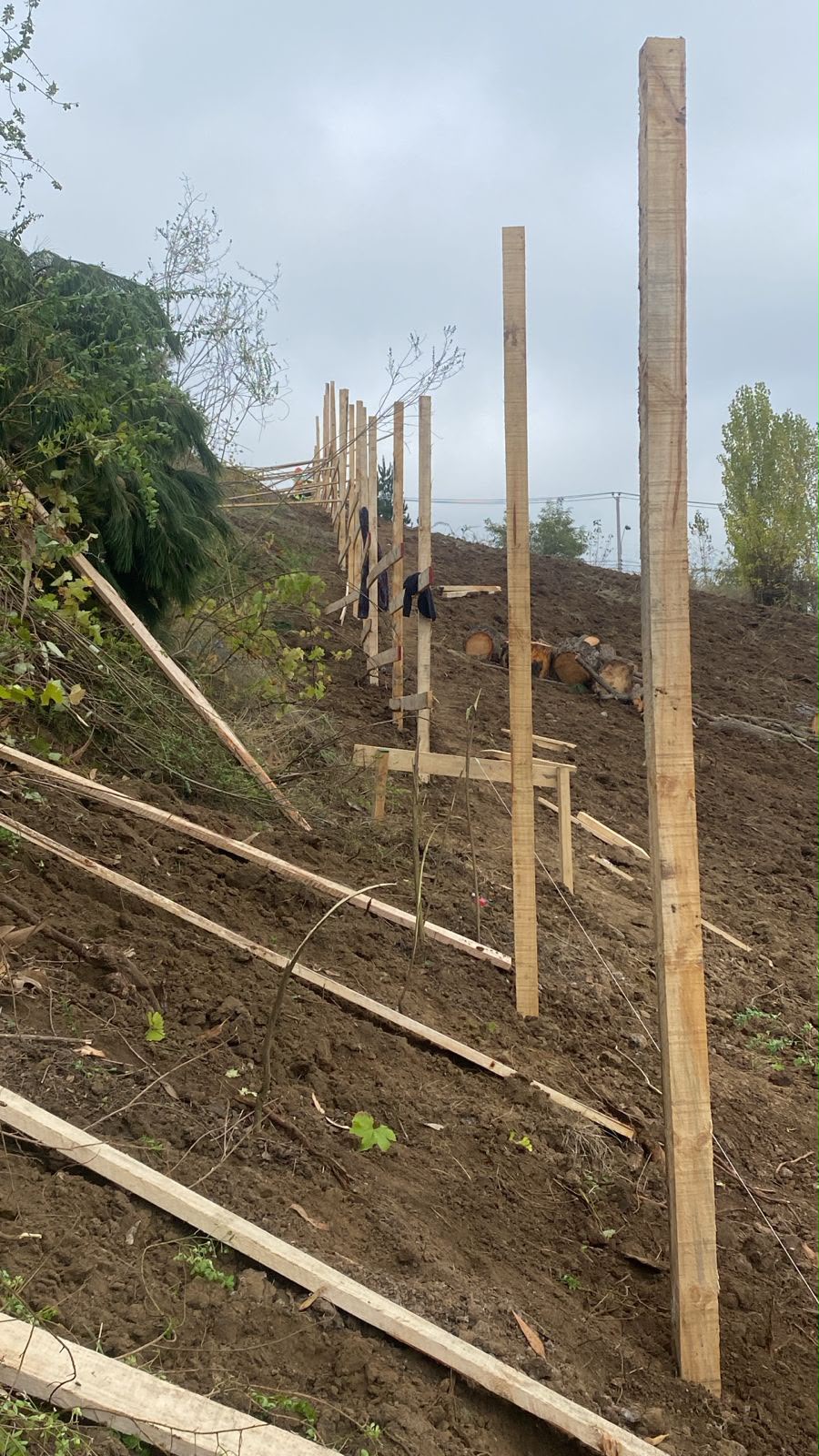Habilitación de terreno para estructura
